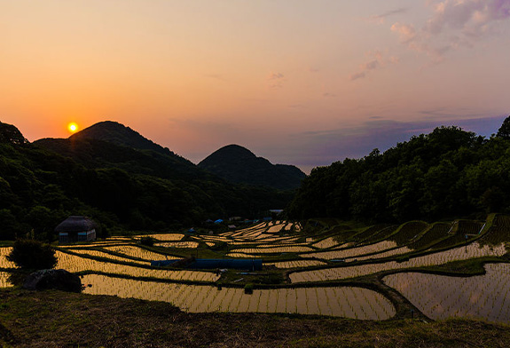 Terraced rice paddies in Ishibu
