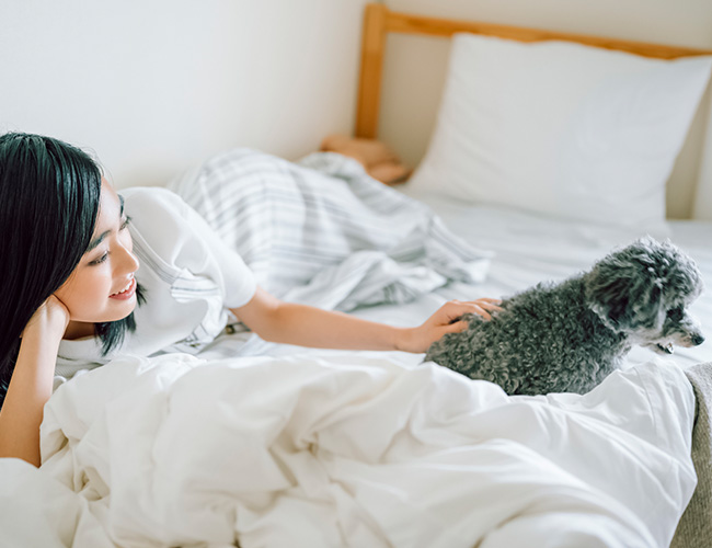 ベッドで一緒に、心地よい眠りを。